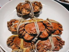 -杨氏青龙虾·羊蝎子(金盛路总店)