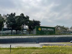 -招商蛇口邮轮母港(观光客运)