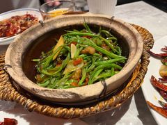 -天辣(金桥啦啦宝都店)