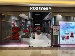 -ROSEONLY诺誓(国际广场购物中心店)