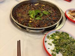 -川道拐耗儿鱼(旗舰店)