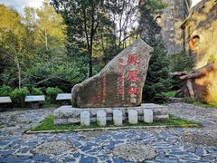 -凤凰山国家森林公园