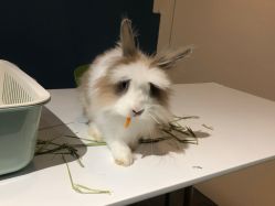-Moni星球萌宠·小马宝莉·灵蛇·高端高阶全萌宠互动体验俱乐部(红豆国际广场店)