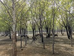 -秦皇岛野生动物园