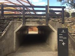 -怀托摩萤火虫洞