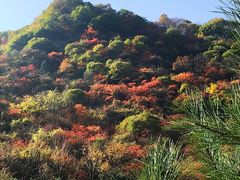 -少华山国家森林公园