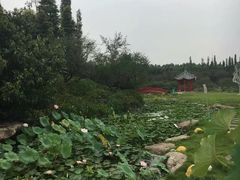 -秀丽东方