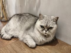 -Oasis绿洲银饰珍珠手作diy(壹方城店)