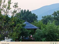 -丽泽山庄·生态怀柔菜·虹鳟鱼(红螺寺店)