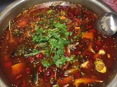 -韩妹鱼庄·泸定老字号(泸定店)