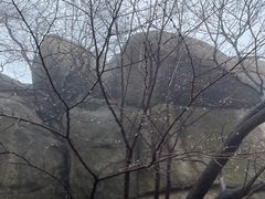 -沂蒙山旅游区云蒙景区(蒙山国家森林公园)