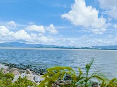 -深圳湾公园(南山区)