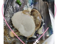 带子-蚝专家