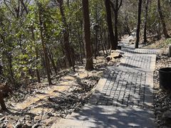 -紫金山索道-售票处