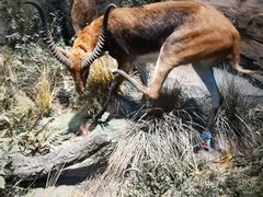 -陕西自然博物馆