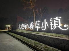 -大塘金香草谷
