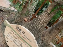 -龙达温泉生态城
