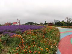 -西海岸生态观光园
