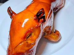 乳猪焗饭-8餐厅(新葡京酒店)