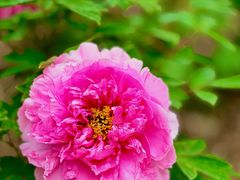 -江南大学(蠡湖校区)