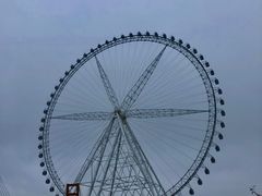 -祥源·阜阳生态乐园