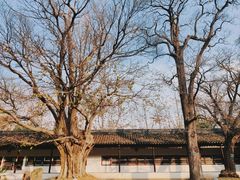 -苏州文庙(姑苏区)