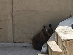 -保定市动物园