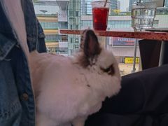 -La Terre乐田(万象城店)