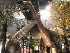 -湖南省地质博物馆