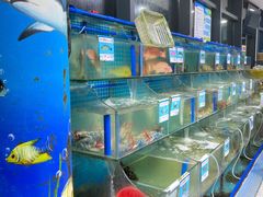 水产区-锦里海景海鲜餐厅.三亚老字号(亚龙湾中心广场店)