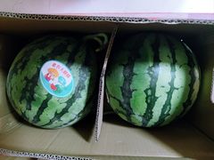 -西郊国际农产品交易中心