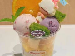-哈根达斯(红谷滩万达店)