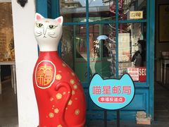 -猫咪博物馆(顶澳仔猫街店)