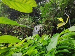 -金鸡山公园