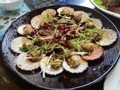 -鲁前海沿儿