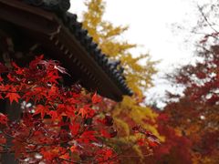 -常寂光寺