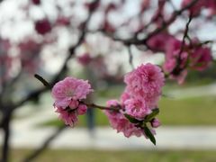 -太阳宫公园
