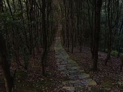 -安溪清水岩