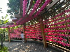 -广州神农草堂中医药博物馆