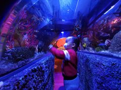 -沈阳海洋探索中心