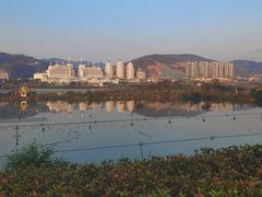 -西双版纳原始森林公园