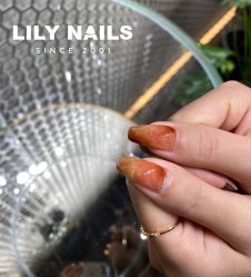 -LILY NAILS美甲美睫