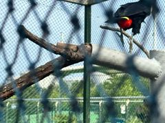 -西霞口神雕山野生动物世界