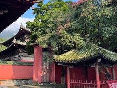 -报恩寺(平武县)