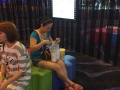 -中影国际影城(华发商都CINITY店)