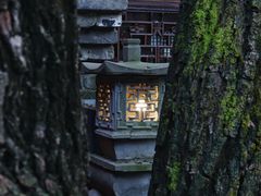 -鱼桥巷·美学川菜