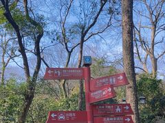 -灵隐飞来峰景区