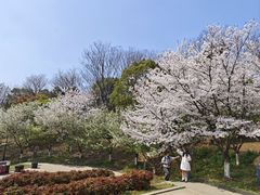 -南山风景名胜区