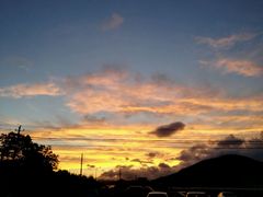 -素德轩素食餐厅(东港店)