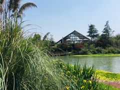 -桤木河湿地公园